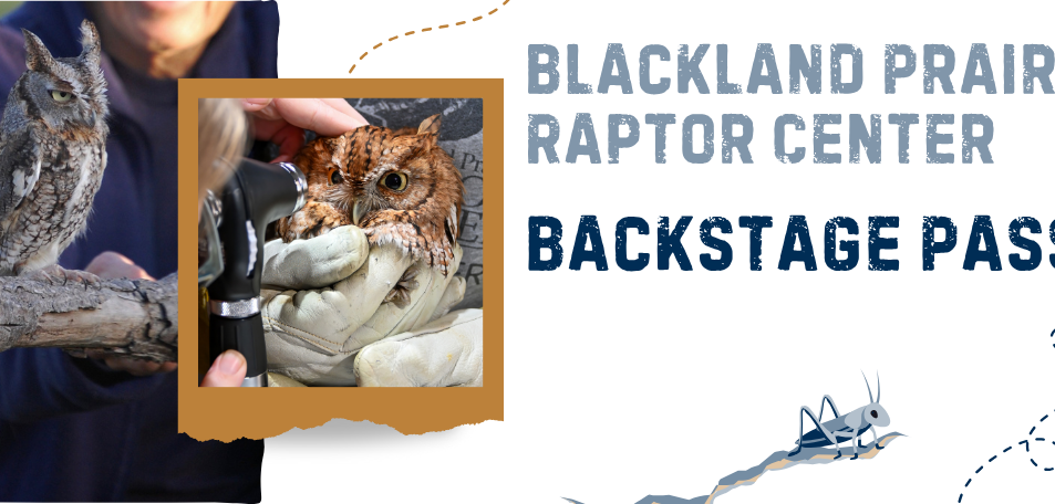 Blackland Prairie Raptor Center Backstage Pass - Thursday 1/1/26 11:30am